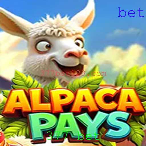 Descubra o Fascinante Mundo de AlpacaPays com 377 Bet