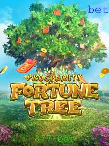 Tudo sobre ProsperityFortuneTree e a Estratégia '377 Bet'